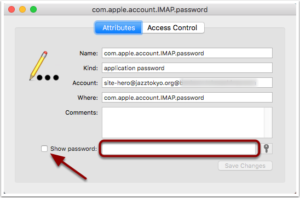 Show Password Option