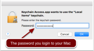 Enter local password